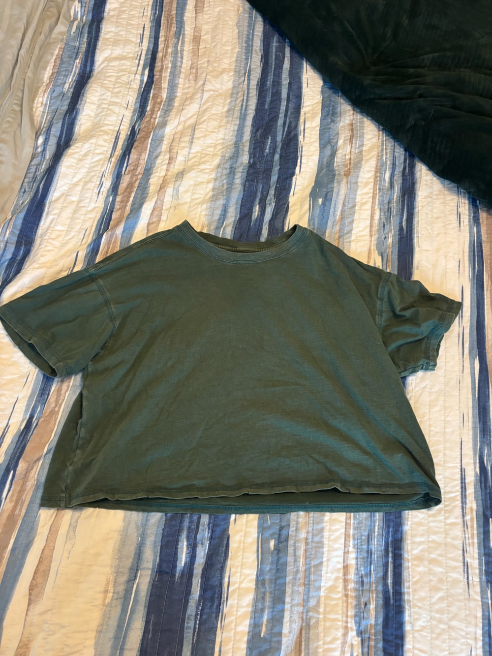 aerie Forest Green Short-Sleeve Crewneck Tee